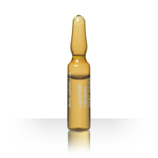 Mesoestetic - x.prof 037 - Lipoplus Ginkgo Biloba / Екстракт Гінгко Білоба